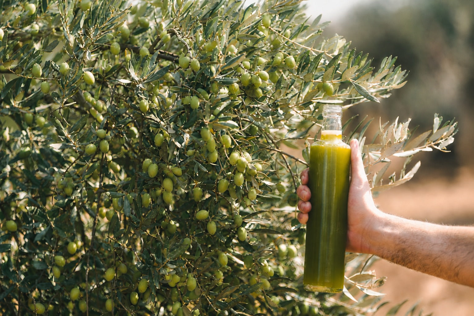 Levantine Premium Extra Virgin Oliv… vs The Full Mediterranean Experience (… & more: Which…